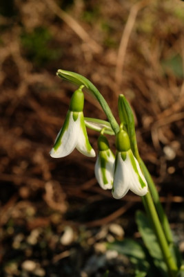 DSCF5080_2943.JPG