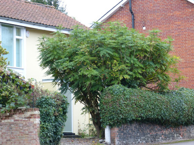 2017-10-02 Lavenham 7.jpg