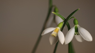 IMG_6857 169.jpg