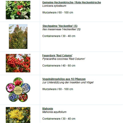 hecke1.jpg