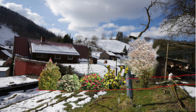 Heckenplanung1.jpg