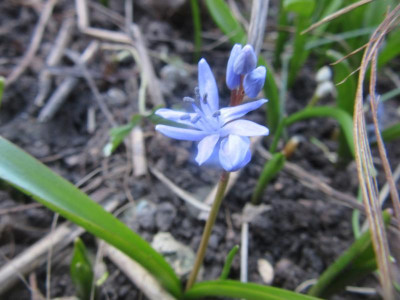 IMG_6638.JPG