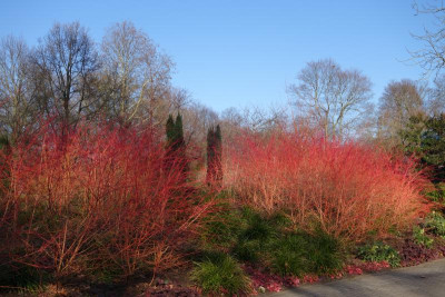 DSC05677.JPG