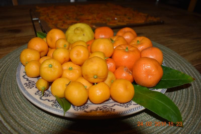 Ernte Feb 18 003.JPG