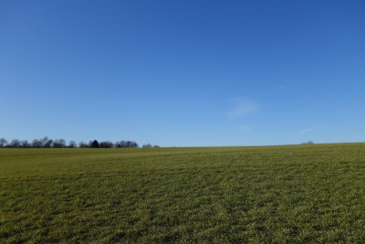 Streuobstwiesenweg.18-1.jpg