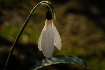 DSCF5093_2947.JPG