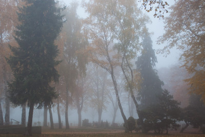 Friedhof_03.jpg