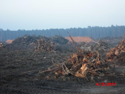 DSCI0708.JPG