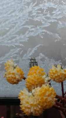 20180228_084459.jpg