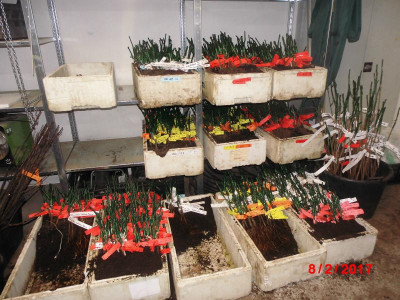DSCI0749.JPG