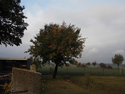 DSCI0875.JPG