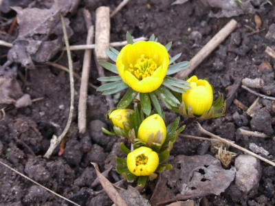DSCF4793.JPG