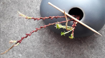 20180306_134202.jpg