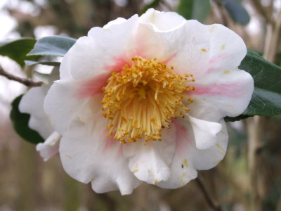 DSCF4847.JPG