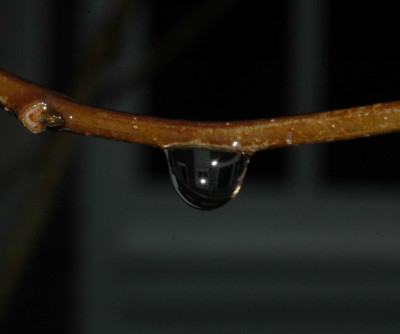 A2376a.JPG