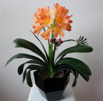 Kleine Klivie pastellorange1.jpg