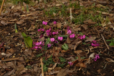DSCF5135_2963.JPG