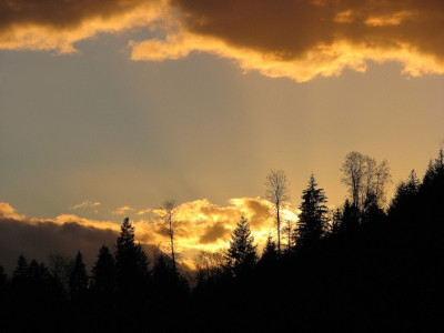 HIMMEL_II_SA_0303.jpg