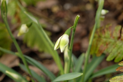 DSCF5130_2960.JPG