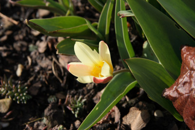 St_Tu_02071.jpg