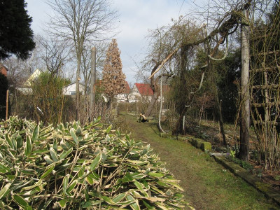IMG_1950_Pfarrgarten_Saxdorf_10Maerz2018_.jpg