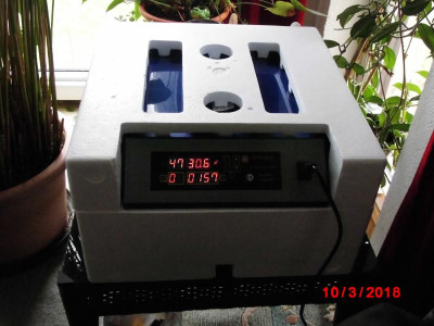 DSCI1488.JPG