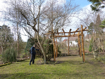 2018-03-10 Frühlingsblüte Saxdorf 4.jpg
