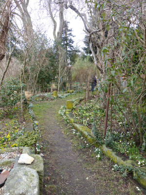 2018-03-10 Frühlingsblüte Saxdorf 5.jpg