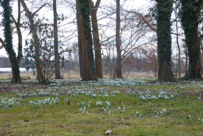 2018-03-10 Schloßpark Uebigau 1.jpg