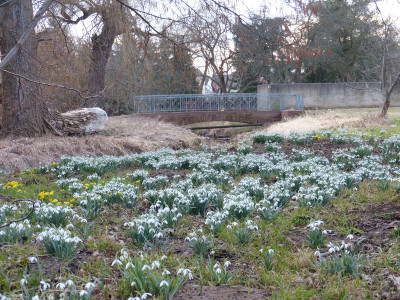 2018-03-10 Schloßpark Uebigau 2.jpg