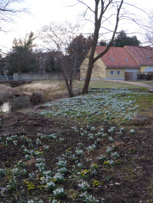2018-03-10 Schloßpark Uebigau 4.jpg