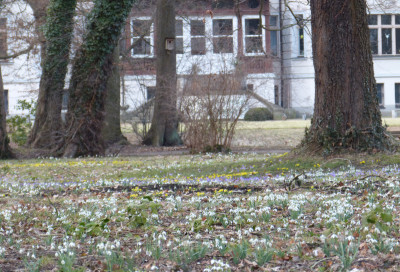 2018-03-10 Schloßpark Uebigau 7.jpg