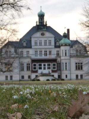 2018-03-10 Schloßpark Uebigau 8.jpg