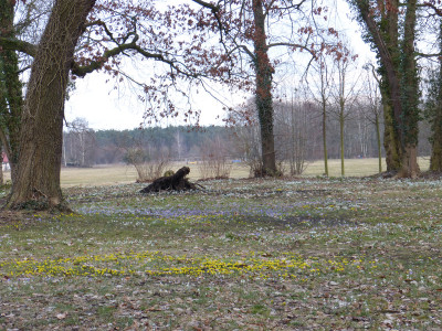 2018-03-10 Schloßpark Uebigau 10.jpg