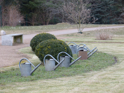 2018-03-10 Schloßpark Uebigau 12.jpg