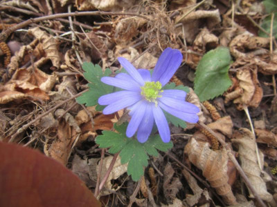 IMG_6885.JPG