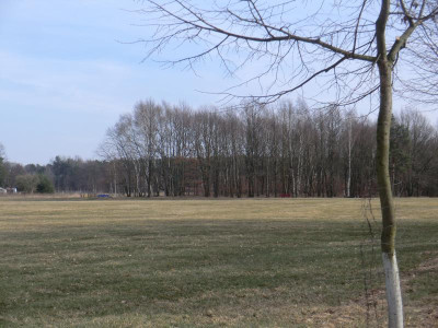CIMG0351.JPG