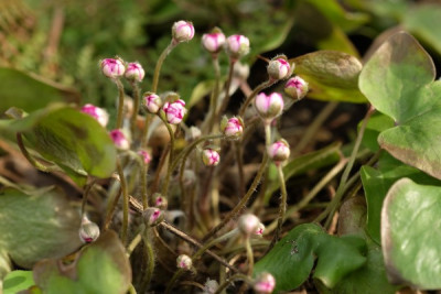 DSCF5220_2991.JPG