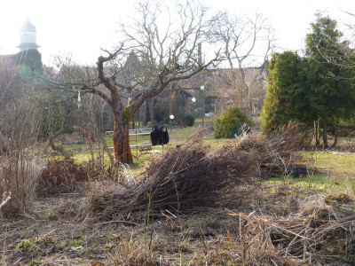 2018-03-11 Garteneinblick 1.jpg