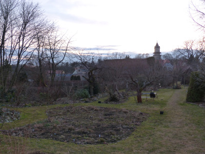 2018-03-11 Garteneinblick 3.jpg