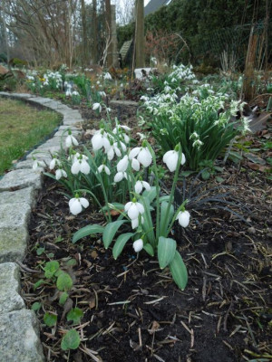 DSCN6152.JPG