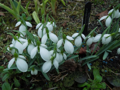 DSCN6138.JPG