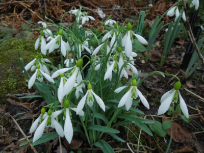 DSCN6168.JPG