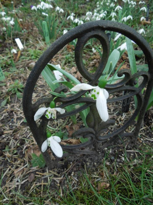 DSCN6166.JPG