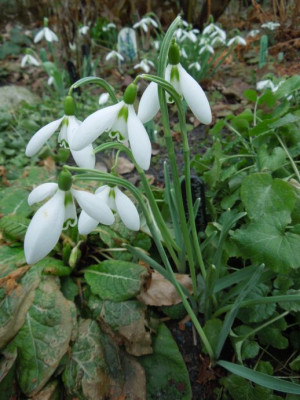 DSCN6170.JPG