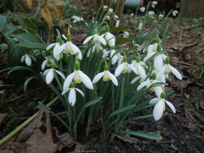 DSCN6191.JPG
