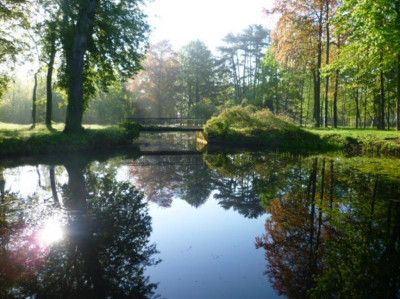 Teich .jpg