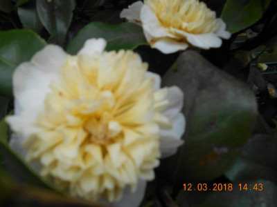 DSCN4740.JPG