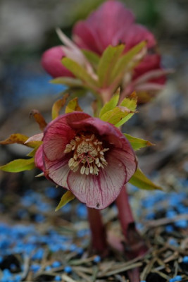 DSCF5276_2994.JPG