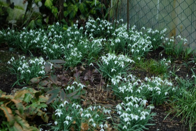 DSCF5289_2996.JPG
